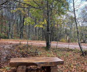 PROJEKT “ZELENA PRIČA” U SURADNJI S LOKALNOM AKCIJSKOM GRUPOM “VALLIS COLAPIS”