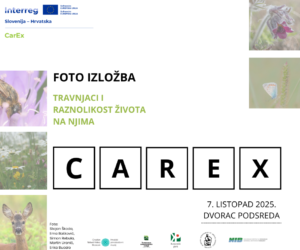 OBJAVLJUJEMO POBJEDNIKE FOTO-NATJEČAJA CAREX! / OBJAVLJUJEMO ZMAGOVALCE FOTO-NATEČAJA CAREX!