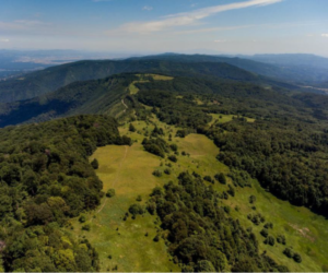 POZIV NA JAVNO PREDSTAVLJANJE PROJEKTA OČUVANJE MOZAIČNOG KRAJOBRAZA PARKA PRIRODE „ŽUMBERAK – SAMOBORSKO GORJE“