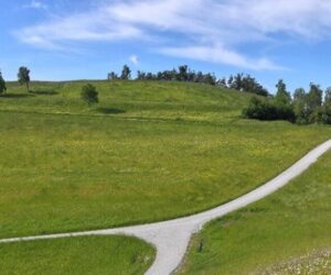 U okviru Interreg SI-HR projekta CarEx objavljen je zbornik „TRAVNJACI I BIORAZNOLIKOST”